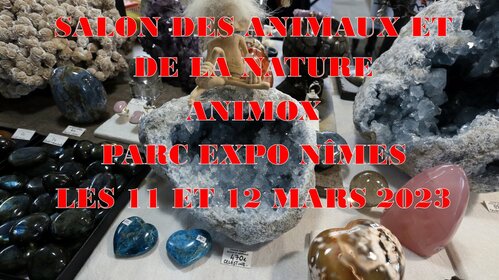 6ème Bourse aux fossiles, plantes et minéraux - Parc des exposition de Nîmes